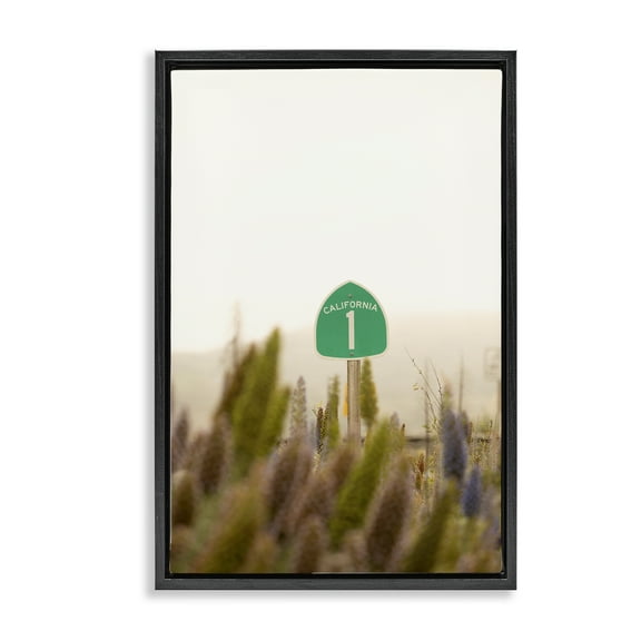 Stupell Industries California Road Sign View Landscape & Nature Photography Black Floater Framed Canvas Art Print Wall Art, 17 x 25