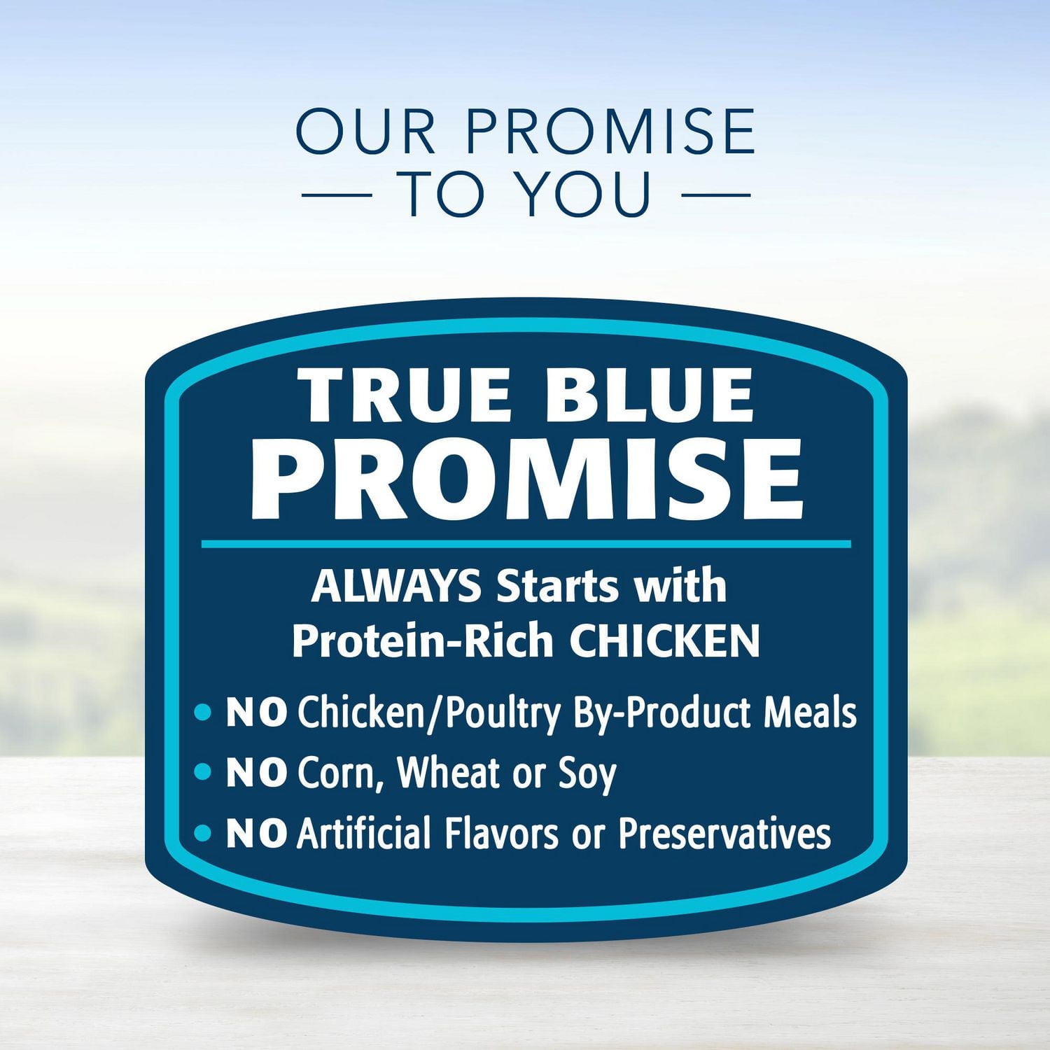 Blue Buffalo Life Protection Formula Puppy Chicken Dry Dog Food with training dog treats and Puppy wet food Value Bundle