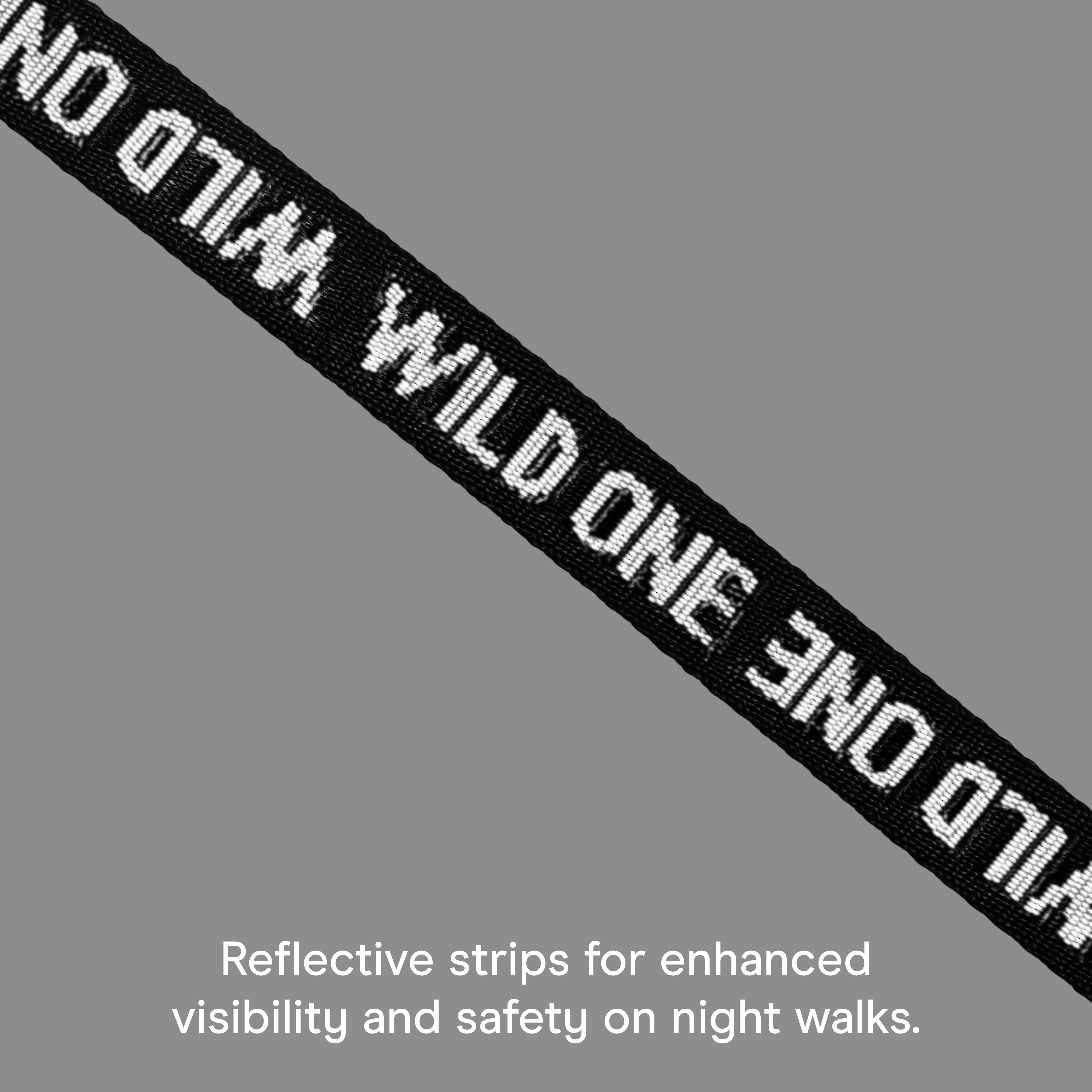 Wild One 6ft Heavy Duty Lightweight Nylon Dog Leash, Black Reflective
