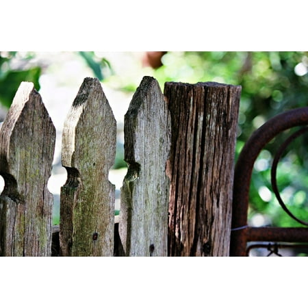Framed Art for Your Wall Fence Rustic Timber Wooden Gate Old Wood Garden 10x13