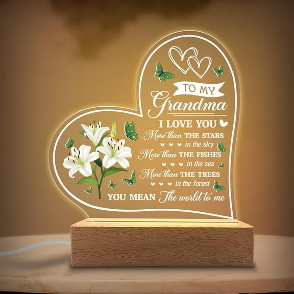 Acrylic Night Light - I Have Loved You My Whole Entire Life - Grandma Gifts from Grandkids - Rechargeable Lamp