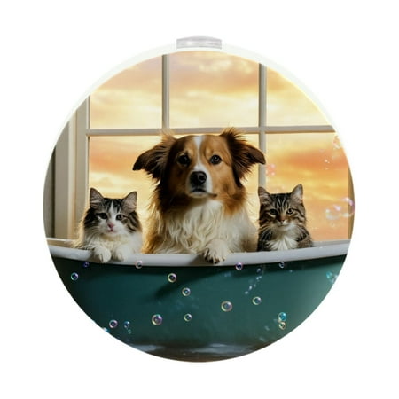 

Night Light Night Lights Plug into Wall Dusk to Dawn Sensor White Led Night Light 2 Pack Nightlight for Bedroom Bathroom Hallway Kitchen Cartoon Animal Bath Farmhouse Cats Dog Lovely