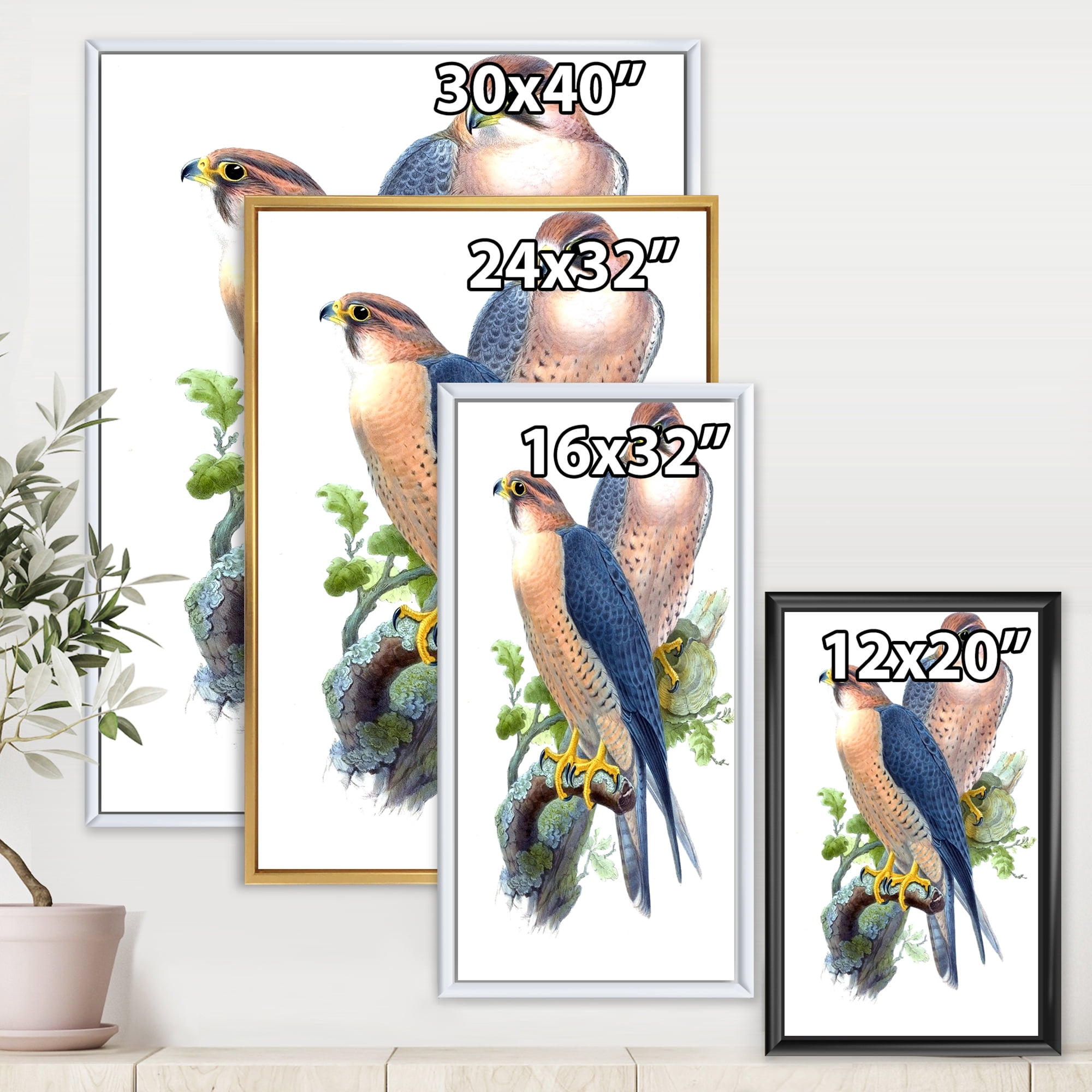 Designart 'Ancient Birds II' Traditional Framed Canvas Wall Art Print