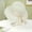 White, variant on Sun Hats for Women Packable Wide Brim Beach Straw Hat Foldable Cloche Bucket Summer Vacation Outdoor Cap with Ribbon Bowknot