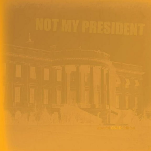 Not My President (Paperback)