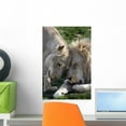 thumbnail image 1 of African Lion Panthera Leo Wall Mural by Wallmonkeys Peel and Stick Graphic (18 in H x 12 in W) WM259238, 1 of 4