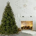 thumbnail image 3 of National Tree Company Downswept Douglas 7 Foot Christmas Tree & Color Lights, 3 of 12