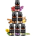 Fragrance Oils Spice Set of 6 Scented for Candle Soap Making Bath Bombs