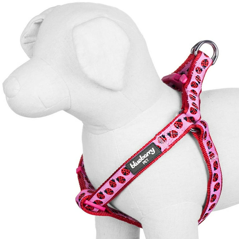 Blueberry Pet Essentials 2 Patterns Step in Ladybug Designer Dog