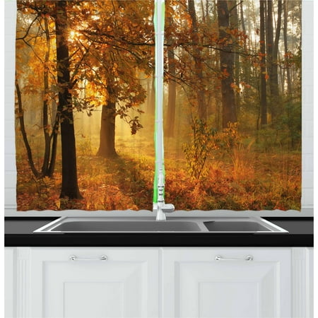 Living Room Picture Forest Foggy Living Room Picture Forest Foggy