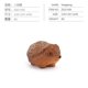 thumbnail image 1 of 儿童仿真野生刺猬动物模型科教认知丛林刺团猬鼠刺猬桌面手办玩具as the picture Deng Xun unisex, 1 of 2