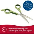 thumbnail image 4 of Safari Safety Scissors for Dogs Trimming Hair Around Eyes, Ears & Paws, 4 of 6
