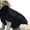 Black, variant on Dog sweater vest warm coat pet soft knitting wool winter sweater knitted crochet coat clothes for small medium large dogs