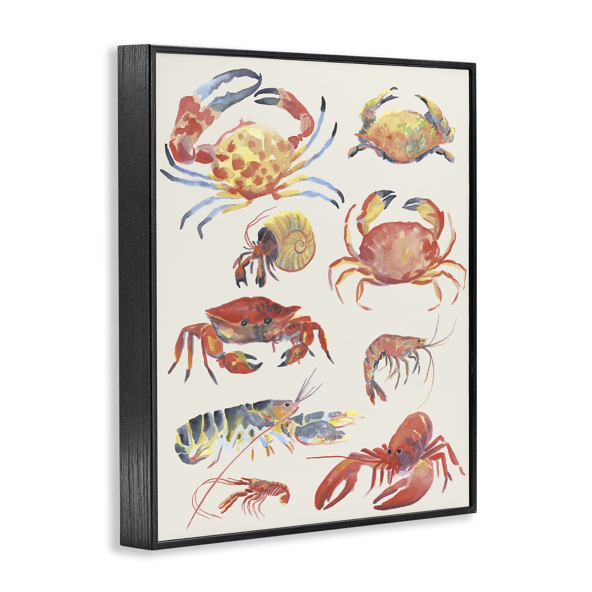 Stupell Industries Nautical Crustacean Collection Black Framed Giclee Art, design by June Erica Vess