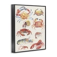 thumbnail image 2 of Stupell Industries Rustic Lodge Nautical Crustacean Collection Black Framed Giclee Art, 11 x 14, by June Erica Vess, 2 of 8