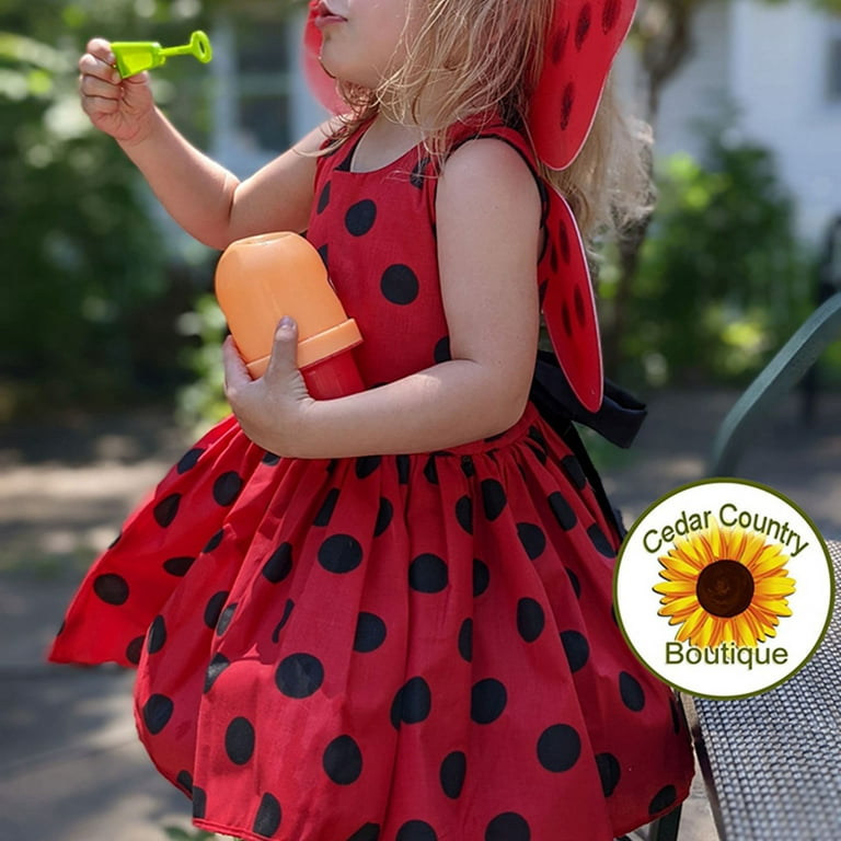 Rianna Care - Miraculous Ladybug - Cosplay  Miraculous ladybug costume,  Ladybug costume, Ladybug outfits