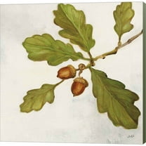 Great Art Now Oak Branch Crop by Julia Purinton, Canvas Wall Art, 12W x 12H