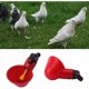 thumbnail image 4 of ZHAOCHENG Bebedero automático para pollos, color rojo, práctico recipiente de plástico para agua potable para pollos, aves de corral, gallinas, 5 unidades., 4 of 5
