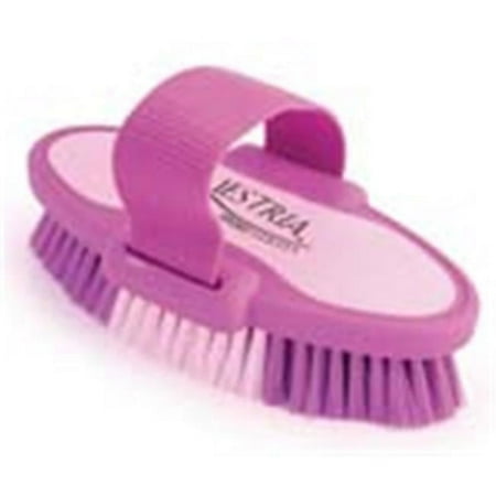 UPC: 0851799217120 | 6.75 Inch Small Equestrian Sport Oval Body Brush – Purple – 2171-2