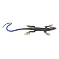 thumbnail image 4 of Reptile Model,  Free Lizard Figurine  For Living Room For Study PL127 1512, 4 of 8