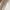 Black, variant on BOBOGOJP Satin Homecoming Dresses 2024 Spaghetti Straps Tiered A Line Short Prom Dresses Graduation Party Gowns Cocktail Dress Plus Size (White,S)