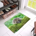 thumbnail image 3 of MKHERT Funny Animal Wild Hedgehog on Green Moss Doormat Rug Home Decor Floor Mat Bath Mat 23.6x15.7 inch, 3 of 3
