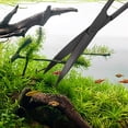 thumbnail image 3 of Juego de herramientas de pinzas para plantas acuáticas de 5 piezas ennegrecidas-Empaquetado en bolsa de lona Zhivalor Llaves y Pinzas, 3 of 9