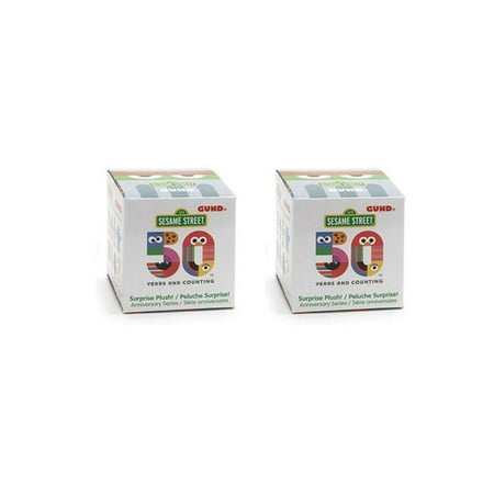 GUND - Sesame Street - 50th Anniversary Surprise Box Bundle - Two Random (Best Anniversary Surprise For Girlfriend)