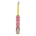 thumbnail image 1 of Gray Nicolls Havoc HB317, 1 of 2