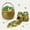 Gold, variant on PMU 6" St. Patrick's Day Pot of Gold Bucket Plastic Cauldron For St. Patrick's Day Leprechaun & Mardi Gras Party Decoration Supply Accessory