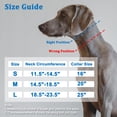 thumbnail image 4 of Collar Martingale Mayerzon para perros, antitirones, reflectante, azul, 4 of 7