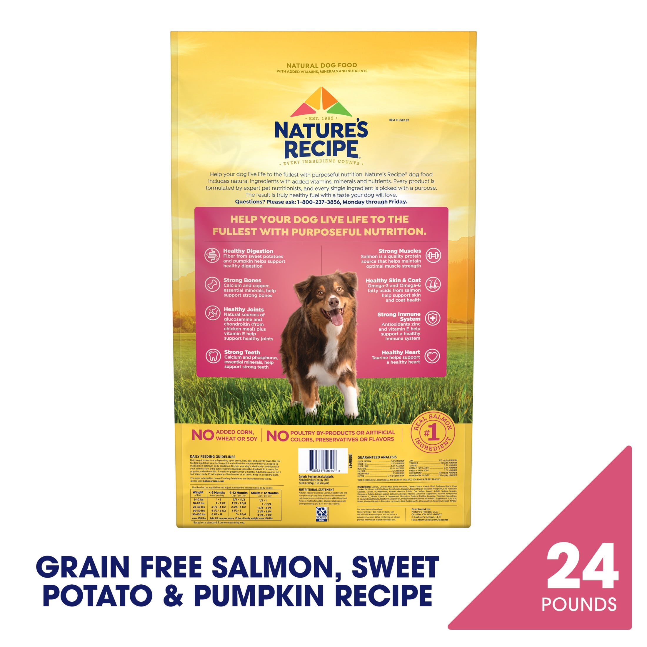 Nature's Recipe Grain Free Salmon, Sweet Potato & Pumpkin Dry Dog Food, 24 lb Bag