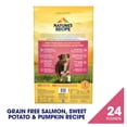 thumbnail image 3 of Nature's Recipe Grain Free Salmon, Sweet Potato & Pumpkin Dry Dog Food, 24 lb Bag, 3 of 11