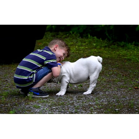 LAMINATED POSTER English Bulldog Pet Smile Child Dog Boy Animals Poster Print 24 x