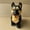 Black, variant on Plush Teddy Toy Puppy Electronic Interactive Dog - Walking, Barking, Tail Wagging, Stretching Companion Animal for Kids Toddlers