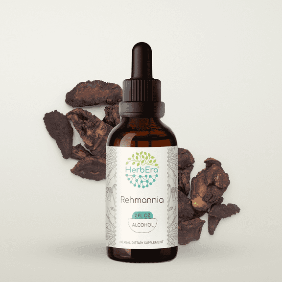 HerbEra Rehmannia Tincture, Herbal Dietary Supplement for Adaptogenic Support, Rehmannia (Rehmannia glutinosa) Dried Root Extract, Natural, Alcohol Tincture, Drops 2 oz