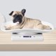 thumbnail image 3 of IC 10kg/1g small pet scale for accurate measurement, 3 of 5