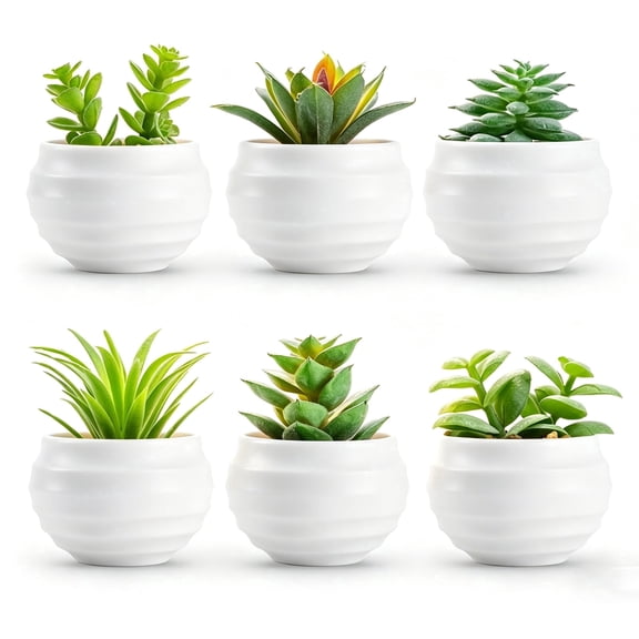 Unbranded 4 in Artificial Succulents in Plastic Grower Pot (6 Count)