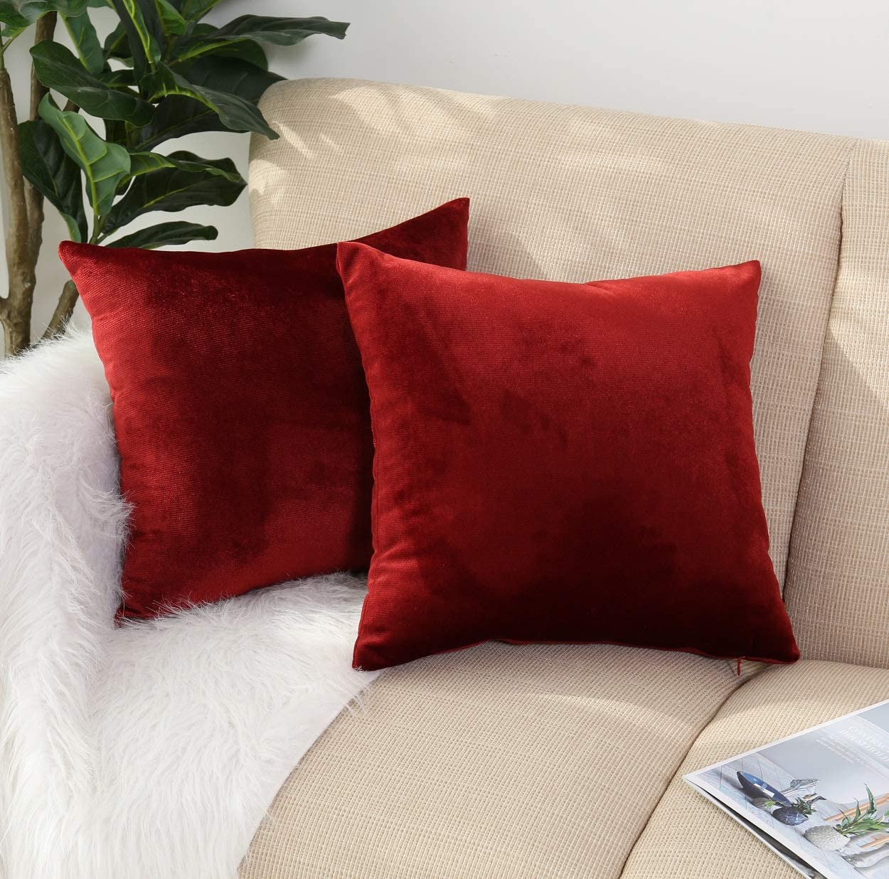 Tayyakoushi Throw Pillow Covers 2 Pack Super Soft Velvet