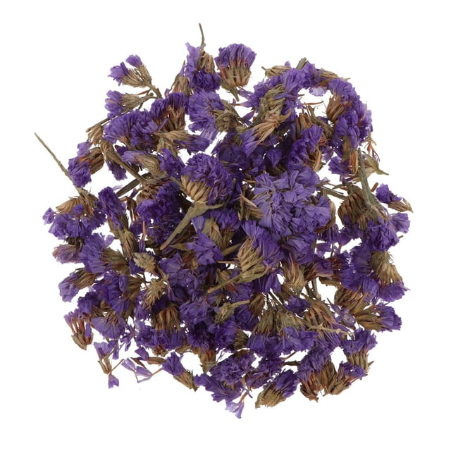 5 bolsas secas naturales Gloria Adornos de Bricolaje Flores Secas Naturales Púrpura
