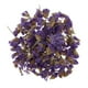 thumbnail image 1 of 5 bolsas de herbario de flores secas prensadas para manualidades, manualidades y álbumes de recortes, púrpura, 1 of 7