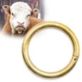 thumbnail image 2 of Jeffers Bull Rings, Large (3.5"x 3/8")- Self Piercing Copper Bronze Livestock Ring with Screws for Cattle, Bulls, Farm Supplies, Livestock Equipment, Metal Nose Ring, Veterinary Tools, Brass Style, 2 of 8