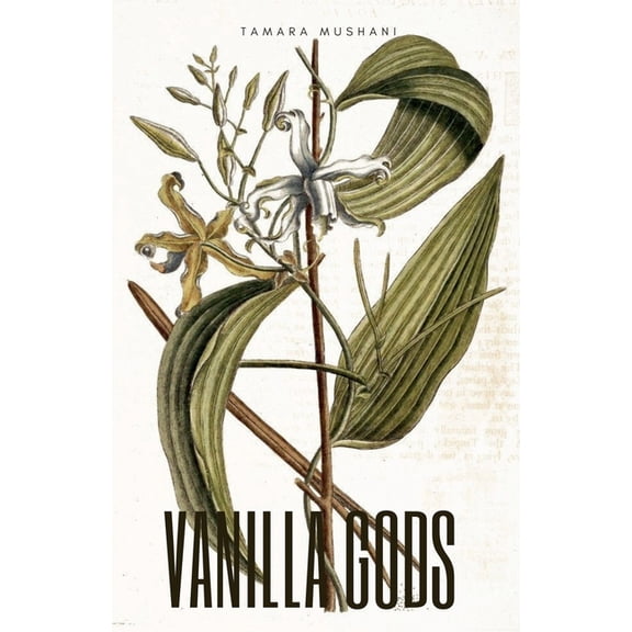 Vanilla Gods, (Paperback)