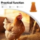 thumbnail image 5 of 10 varillas de desplumado duraderas para aves de corral, pollos y aves de corral, accesorios para depilación de aves., 5 of 7