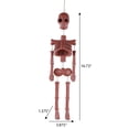 thumbnail image 6 of Skeleton Wall Decoration, Terracotta, 16.7", Halloween by Way To Celebrate, 6 of 6