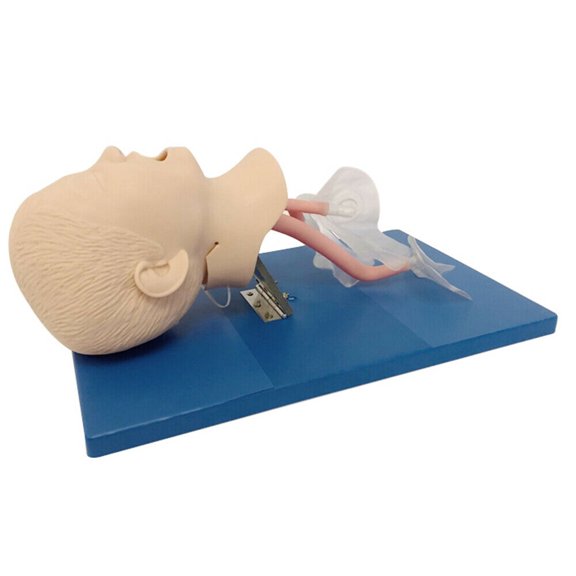 ChicHomey Intubation Kit with Anatomical Simulation, Ideal for Medical Training, Emergency Response, and Teaching, Includes Tracheal Tube