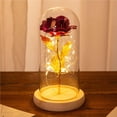thumbnail image 5 of Bearachild Eternal Rose Flower Rose Lámpara LED Decoración para el hogar Boda Navidad Día de San Valentín Kits de decoración para fiestas Numero 3 Bearachild HA027172-03, 5 of 5