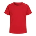 thumbnail image 3 of Razzly Men's Athletic T-Shirts for Outdoor Sports - Short Sleeve UPF 50+ Quick Drying Swim Shirt Rash Guard for Summer Activities(Red,4XL), 3 of 5