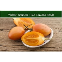 Tropical Seeds-Yellow Tropical Tree Tomato -10 Seeds -- Container Gardening- -Ornamental Plant Seed -Solanum Betacea