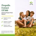 thumbnail image 3 of Terry Naturally Propolis Extract EP300 - 60 Chewable Tablets, 3 of 7